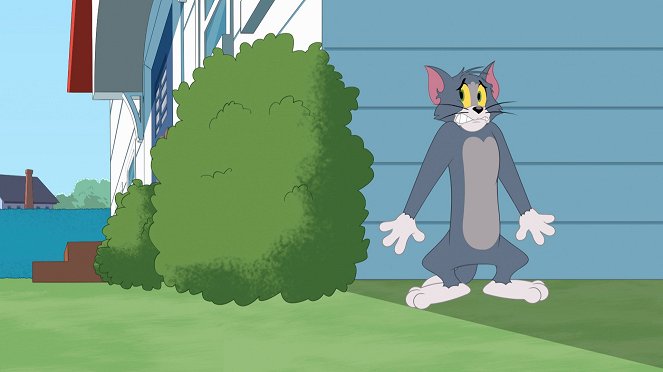 Die Tom und Jerry Show - Alles für die Katz / Trockenzeit / Tom der Schlangenbändiger - Filmfotos