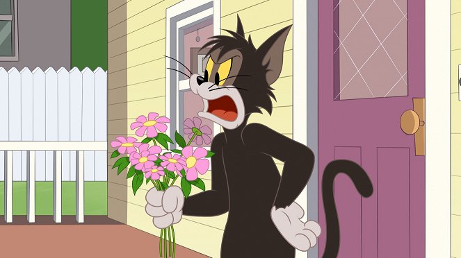The Tom and Jerry Show - Season 5 - Pranks for Nothing / Dry Hard / Tom Quixote - Photos