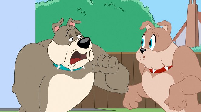 The Tom and Jerry Show - Top Dog / Rikki Tikki Tabby / Day of the Jackalope - Van film