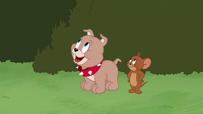 Die Tom und Jerry Show - Season 5 - Der unsichtbare Tom / Polizeihund Tyke / Das nicht so hässliche Entlein - Filmfotos