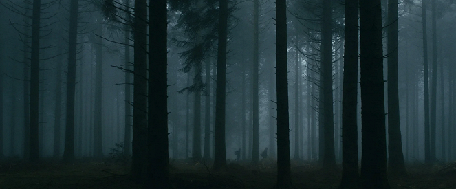 Le Coeur noir des forêts - Van film