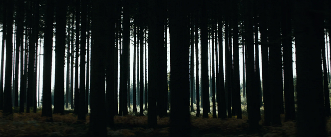 Az erdő sötét szíve - Filmfotók