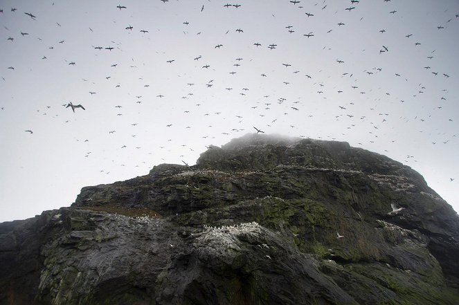 Szigetek vadvilága - Die Hebriden - Filmfotók