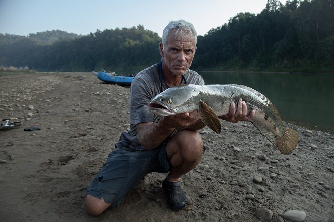 River Monsters - Season 9 - Return of the Killer Catfish - Film