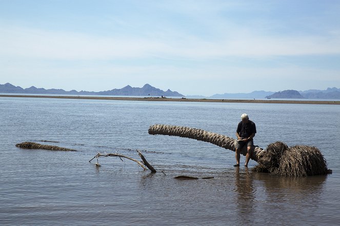 Fluss-Monster - Der Humboldt-Kalmar - Filmfotos