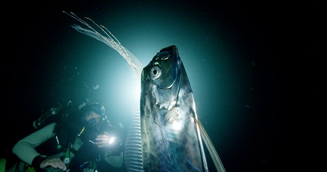 River Monsters - Season 8 - Deep Sea Demon - Photos