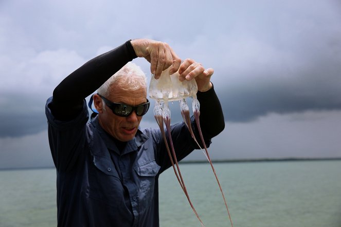 River Monsters - Death Down Under - De la película