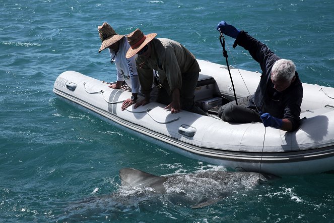 River Monsters - Death Down Under - Film