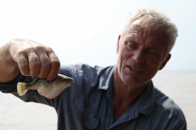 River Monsters - Mekong Mutilator - Photos