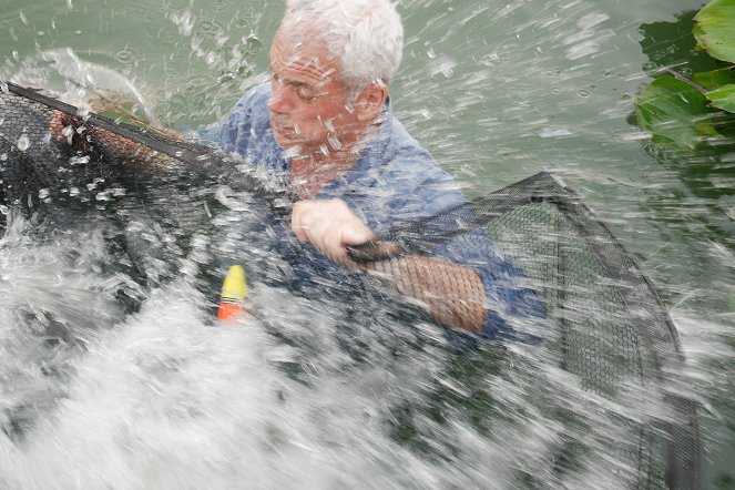 Fluss-Monster - Der südostasiatische Süßwasserkugelfisch - Filmfotos