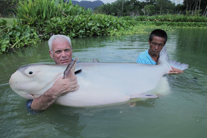 Fluss-Monster - Season 7 - Der südostasiatische Süßwasserkugelfisch - Filmfotos