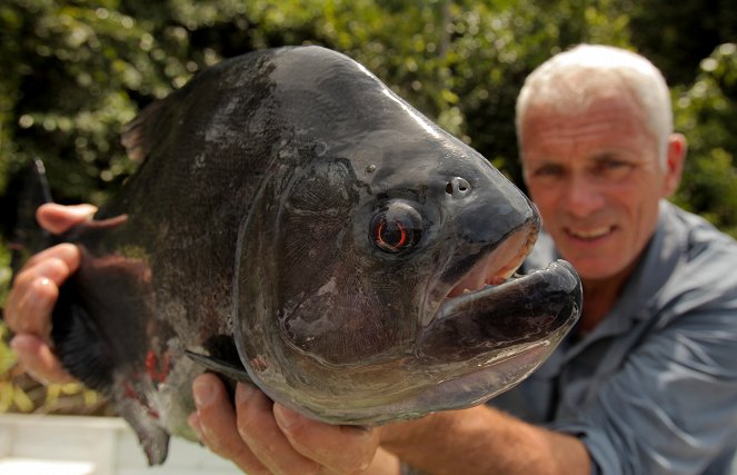 Fluss-Monster - Season 6 - Die Killerfische des Amazonas - Filmfotos