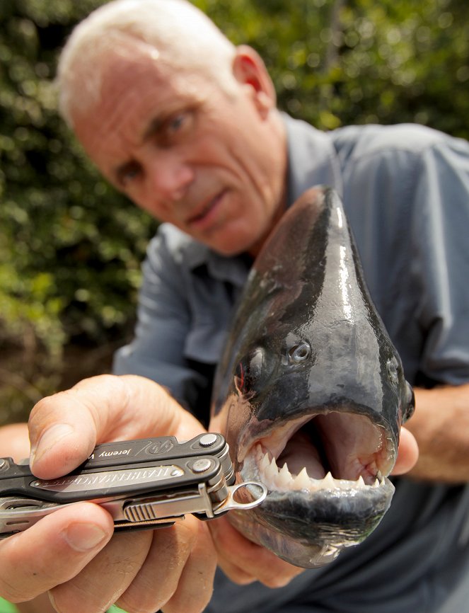 Fluss-Monster - Die Killerfische des Amazonas - Filmfotos