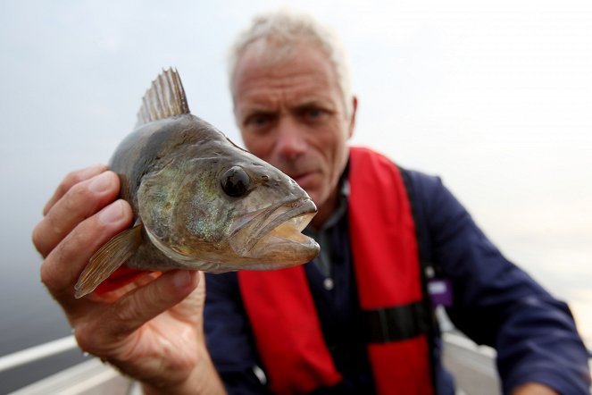 River Monsters - Atomic Assassin - Photos
