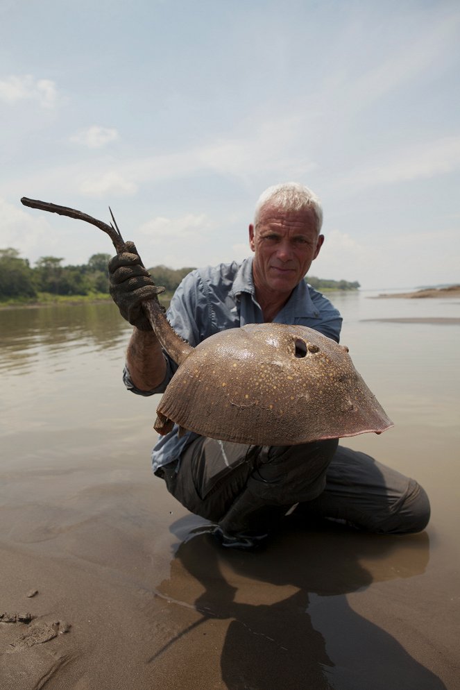 River Monsters - Colombian Slasher - Photos
