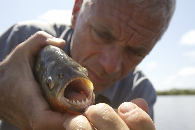 River Monsters - Colombian Slasher - Photos