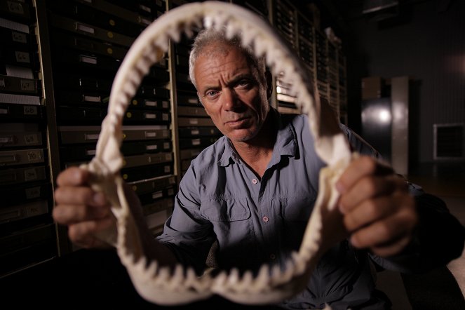 Fluss-Monster - Der australische Flusshai - Filmfotos