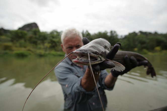 Édesvízi szörnyek - Ázsiai gyilkos - Filmfotók