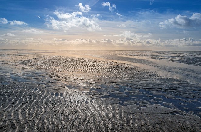 Unsere Meere - Naturwunder Nordsee - Filmfotók