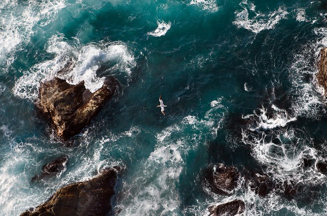 Unsere Meere - Unbekannte Nordsee - Filmfotos