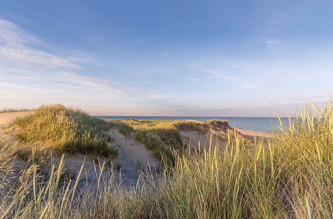 Unsere Meere - Naturwunder Ostsee - Filmfotók