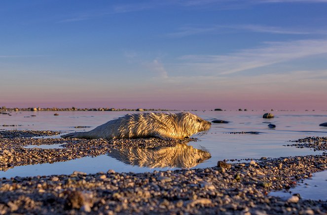 Unsere Meere - Unbekannte Ostsee - Filmfotos