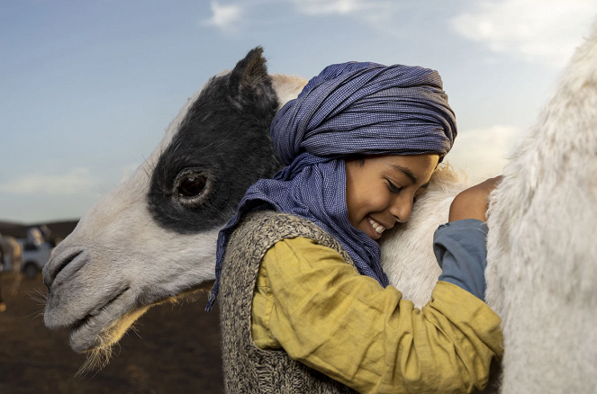 Zodi et Téhu, frères du désert - Photos - Yassir Drief