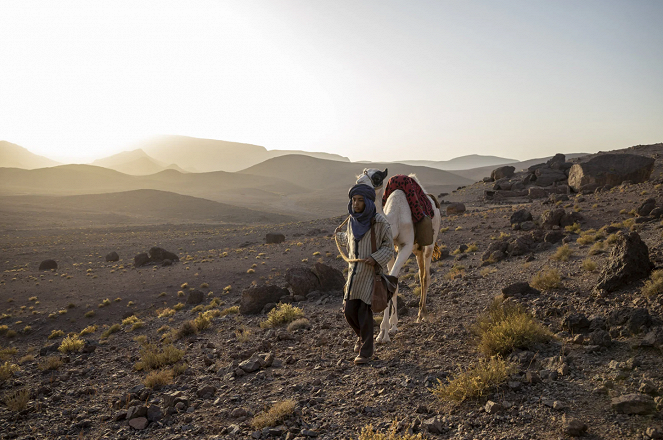 Zodi et Téhu, frères du désert - Photos - Yassir Drief