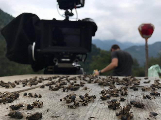 Keeping the Bees - Making of