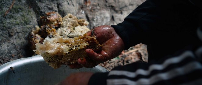 Ta'igara: An Adventure in the Himalayas - De la película