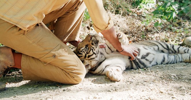 Die Legende vom Tigernest - Filmfotos