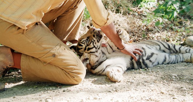 Die Legende vom Tigernest - Filmfotos