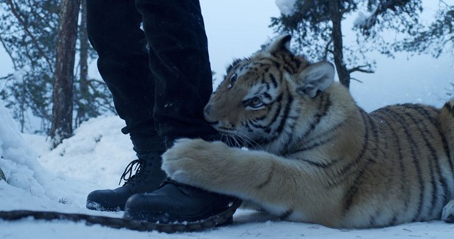 Die Legende vom Tigernest - Filmfotos