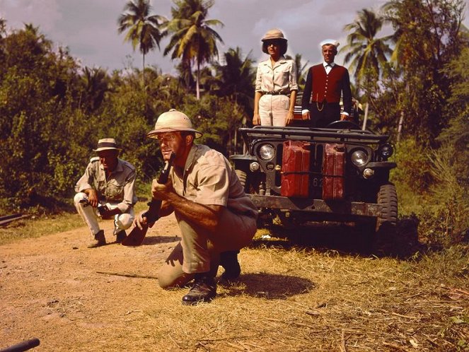El infierno de Mekong - De la película - Horst Frank, Dorothee Parker, Brad Harris, Chris Howland