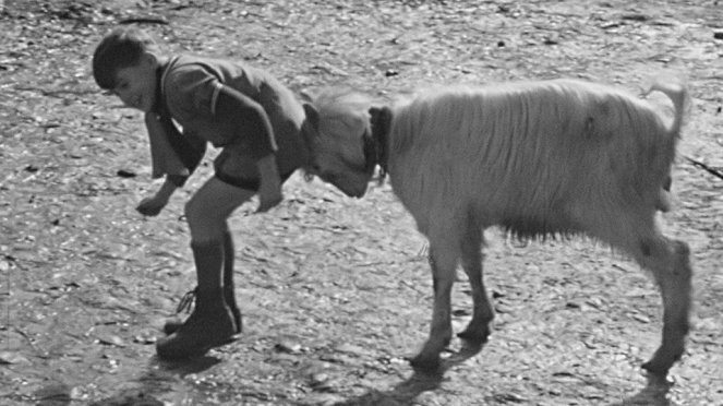 1942, un monde en guerre - Mai-août - Photos