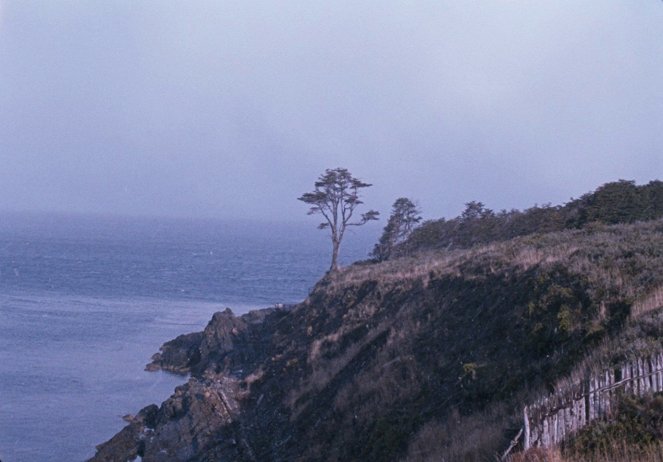 A árvore - Z filmu