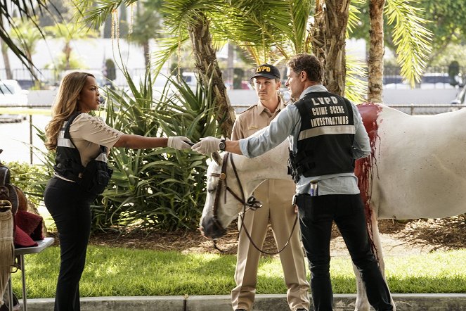 CSI: Vegas - Season 1 - Blutrotes Pferd - Filmfotos