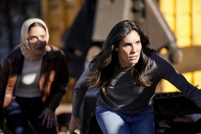 NCIS: Los Angeles - In the Name of Honor - Photos - Daniela Ruah