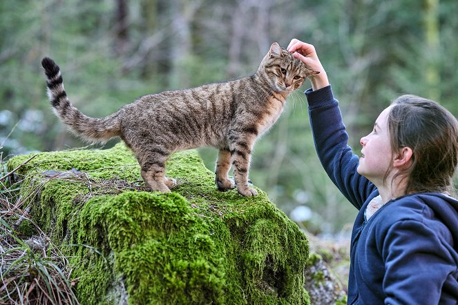 Mon chat et moi, la grande aventure de Rroû - Photos - Capucine Sainson-Fabresse