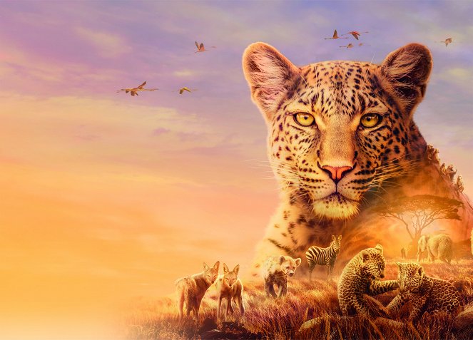 Terra X: Serengeti - Season 2 - Werbefoto