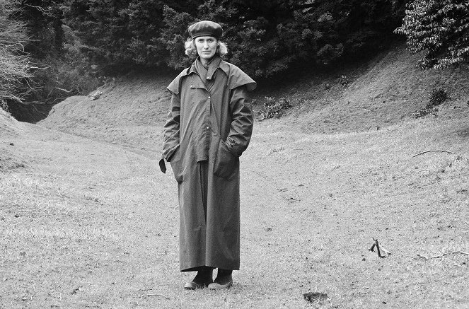 Jane Campion, la femme cinéma - Van film