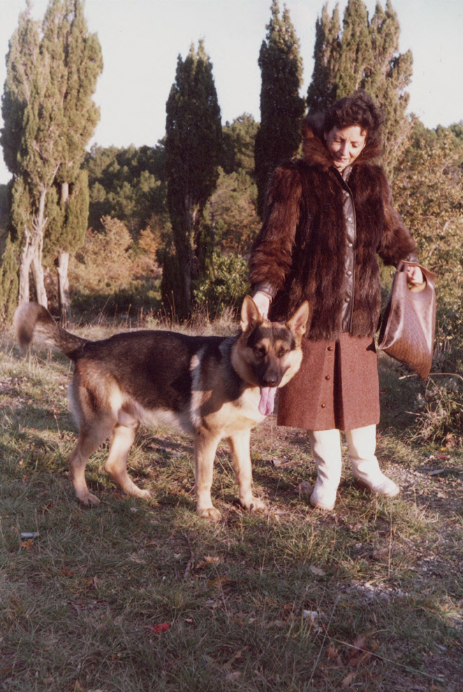 Gunthers Millionen - Ein glücklicher Hund - Filmfotos