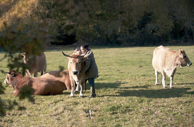 L'Usine des animaux - Kuvat elokuvasta