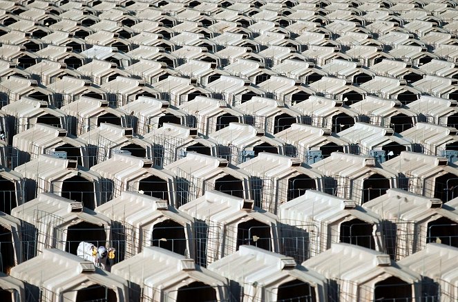 L'usine des animaux - Photos