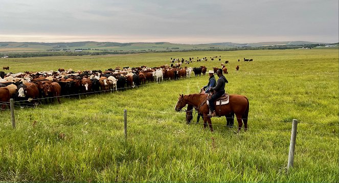 Dzika przyroda Patricka Aryee - Z filmu