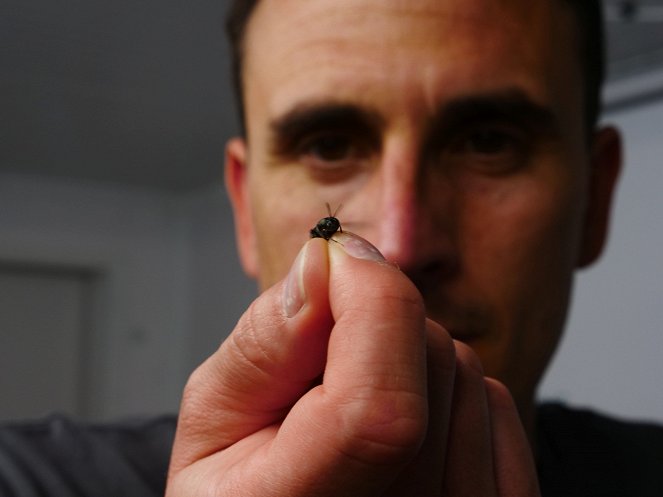 Edible Insects - Kuvat elokuvasta