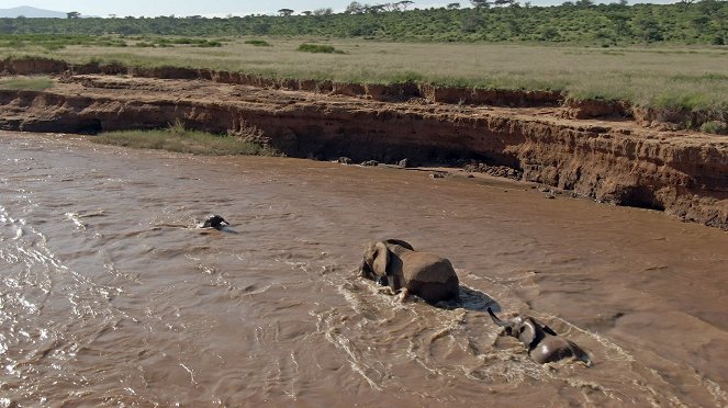 Serengeti - Change - Kuvat elokuvasta