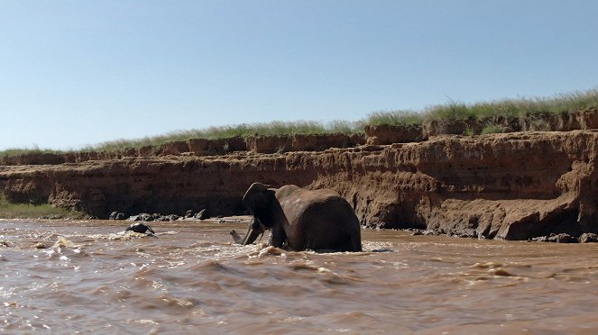 Serengeti - Change - De la película