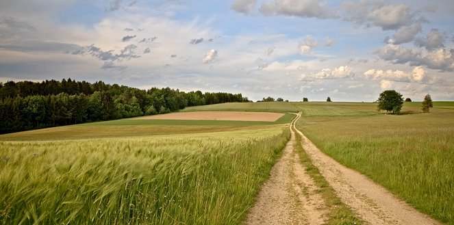 Jedna země, jeden domov - Kuvat elokuvasta