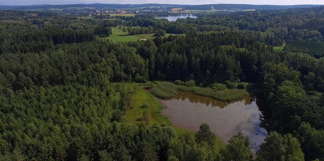 Jedna země, jeden domov - Kuvat elokuvasta